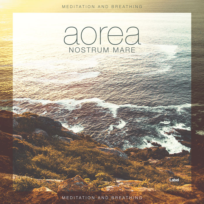 Premade Book Cover Soya Bean