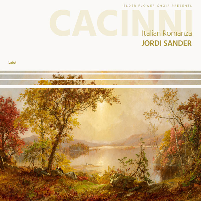 Premade Book Cover Merino