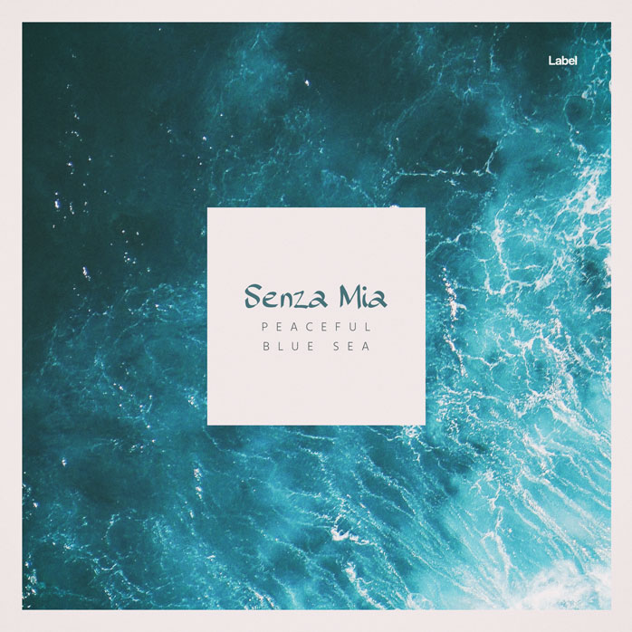 Premade Book Cover Cararra