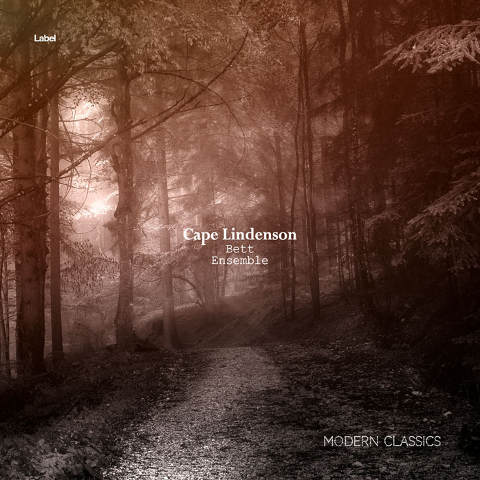Premade Book Cover Cork