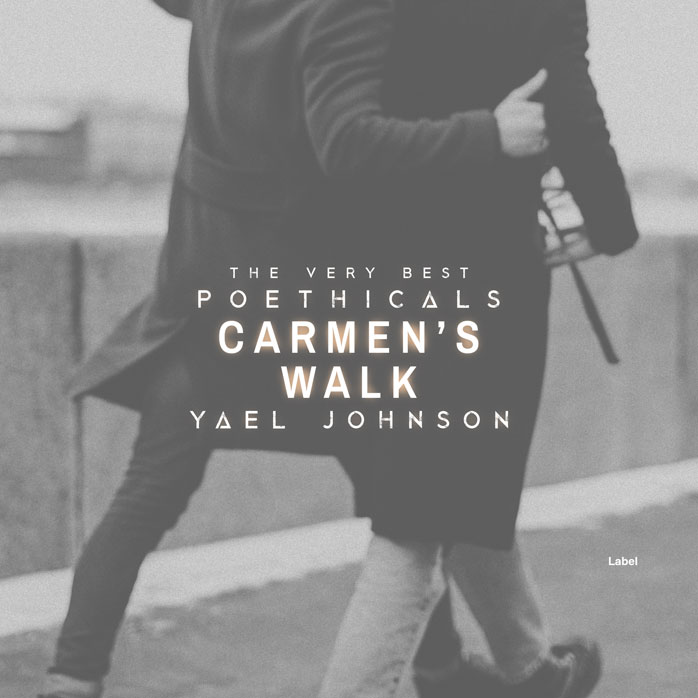 Premade Book Cover Dove Gray
