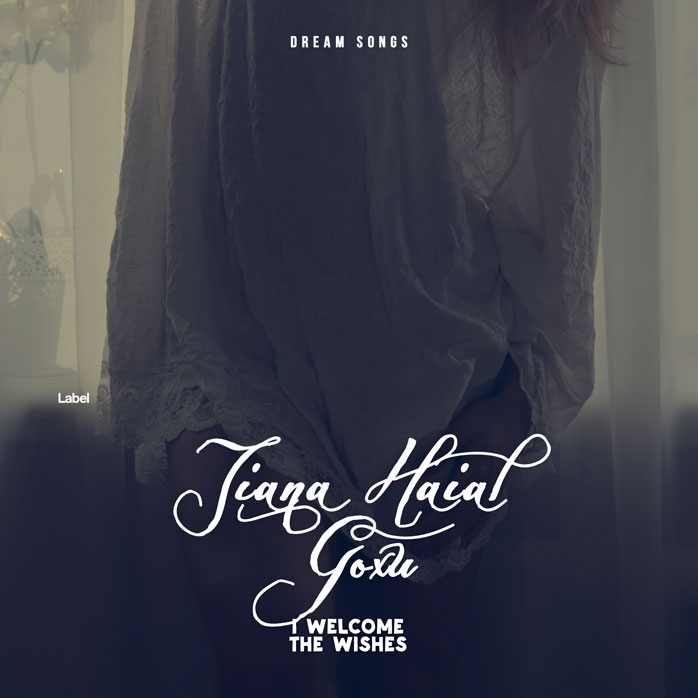 Premade Book Cover Charade