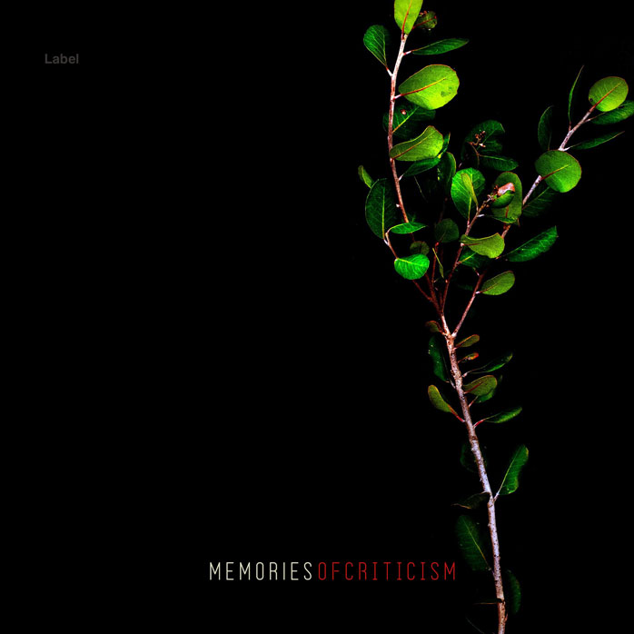 Premade Book Cover Marshland