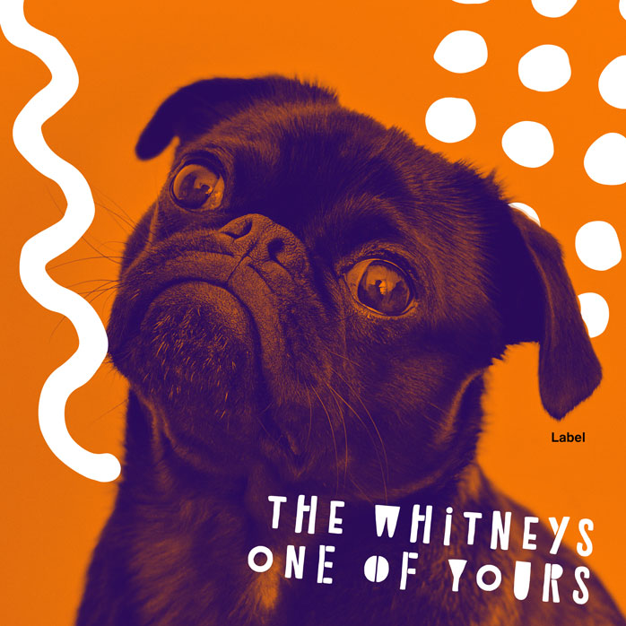 Premade Book Cover Tango