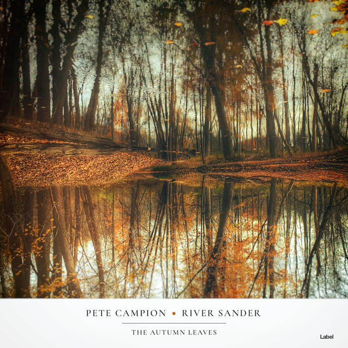 Premade Book Cover Millbrook
