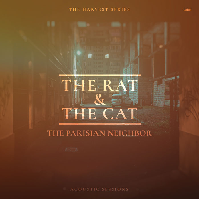 Premade Book Cover Old Copper
