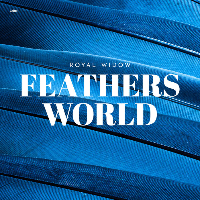 Premade Book Cover Venice Blue