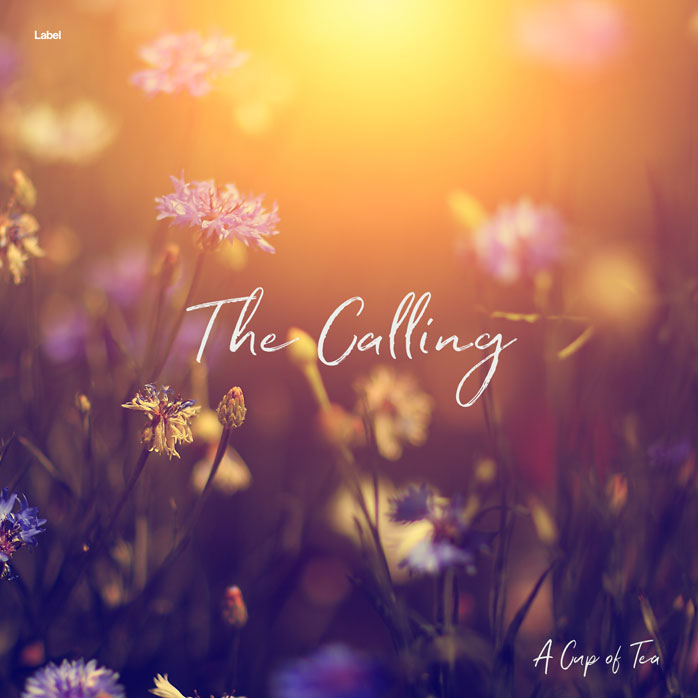 Premade Book Cover Santa Fe