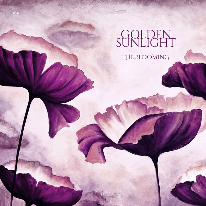 Premade Book Cover Twilight