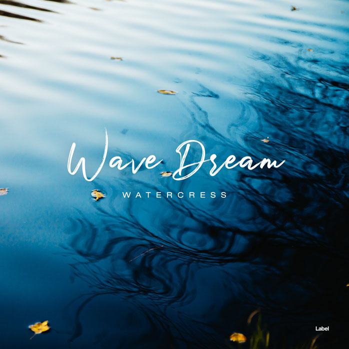 Premade Book Cover Blue Whale