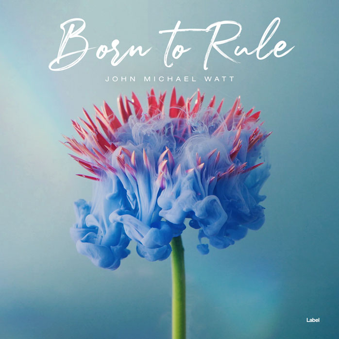 Premade Book Cover Bali Hai
