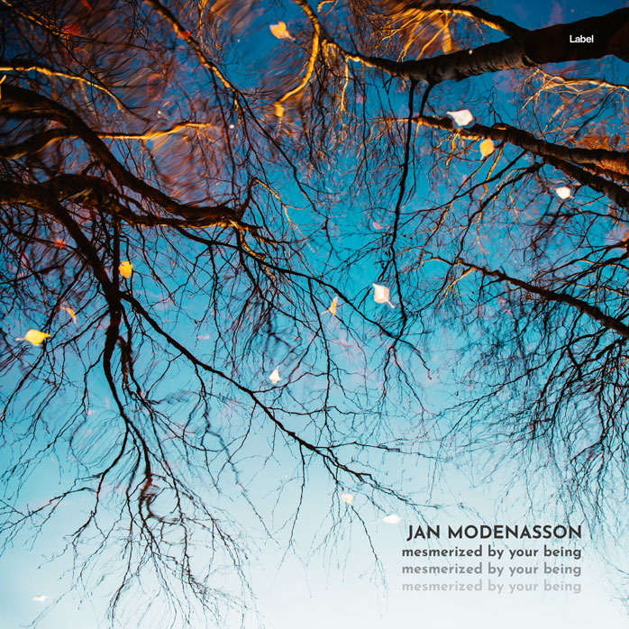 Premade Book Cover Bright Gray