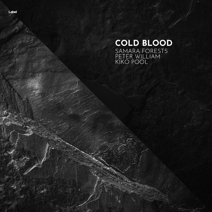 Premade Book Cover Cod Gray