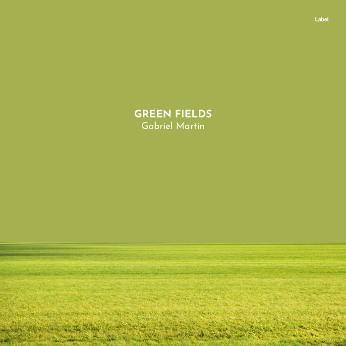 Premade Book Cover Olive Green