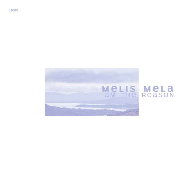 Premade Book Cover Periwinkle Gray