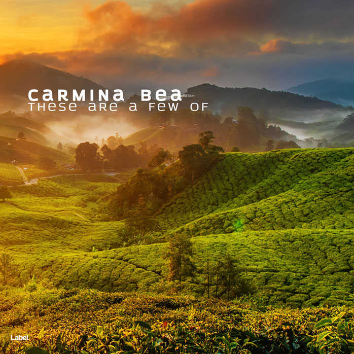 Premade Book Cover Dallas
