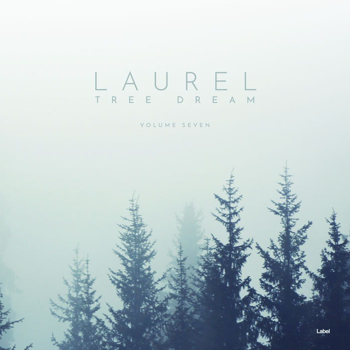 Premade Book Cover Mystic