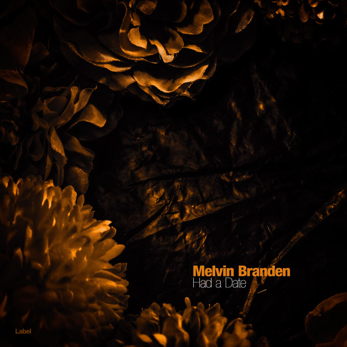 Premade Book Cover Night Rider