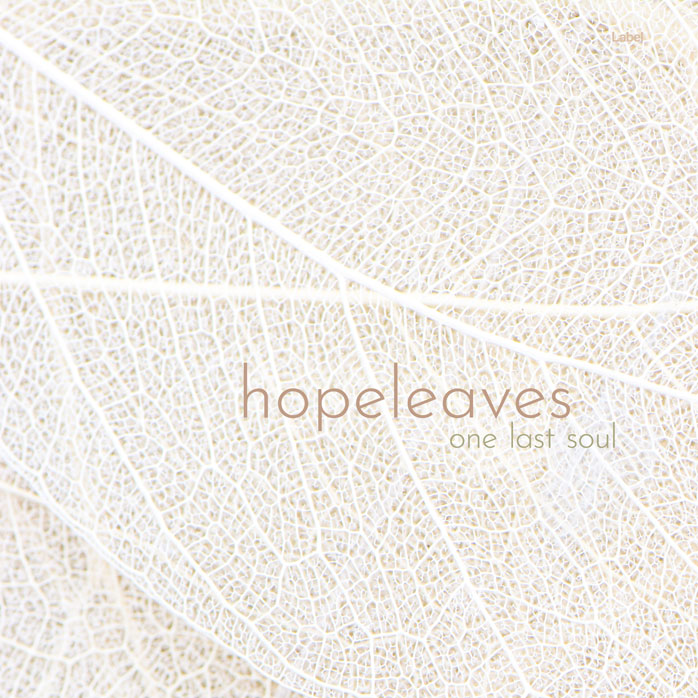 Premade Book Cover Pampas