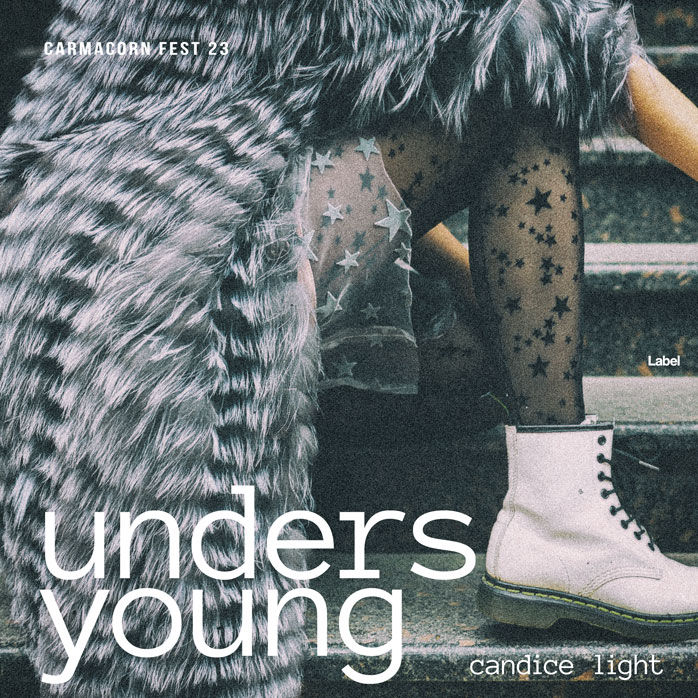 Premade Book Cover Cape Cod