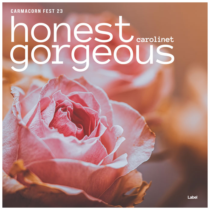 Premade Book Cover Turkish Rose