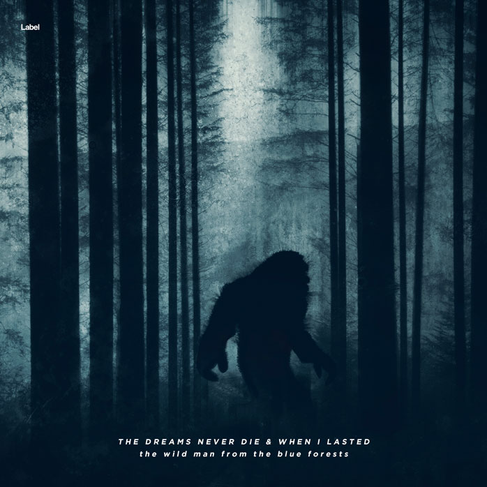 Premade Book Cover Firefly