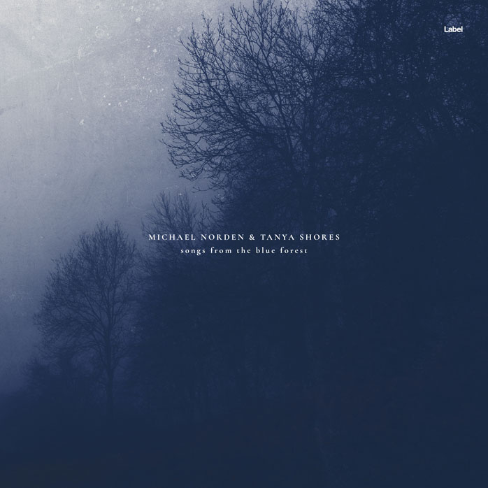 Premade Book Cover Cloud Burst