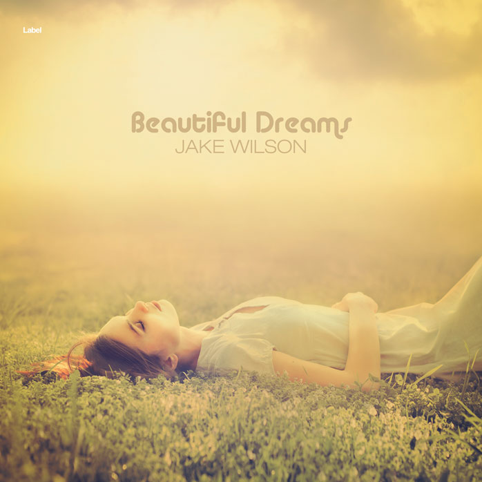 Premade Book Cover Calico