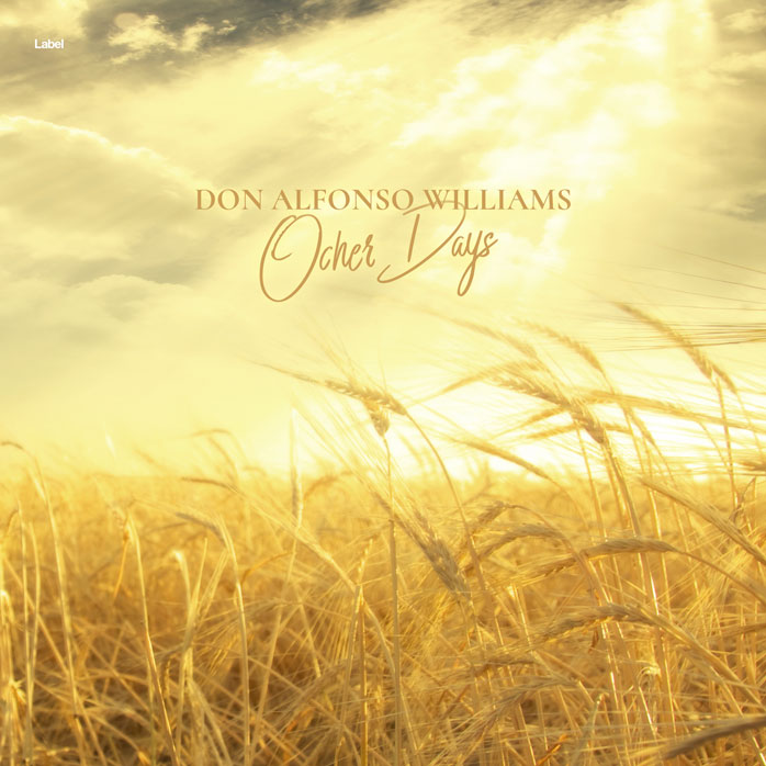 Premade Book Cover Chalky