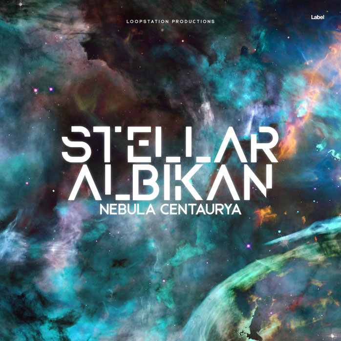 Premade Book Cover Limed Spruce