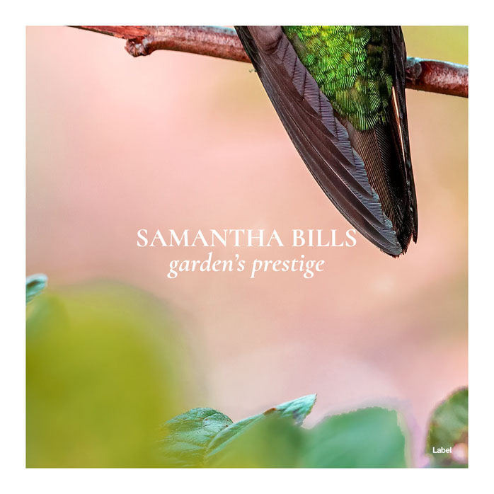 Premade Book Cover Rose Fog