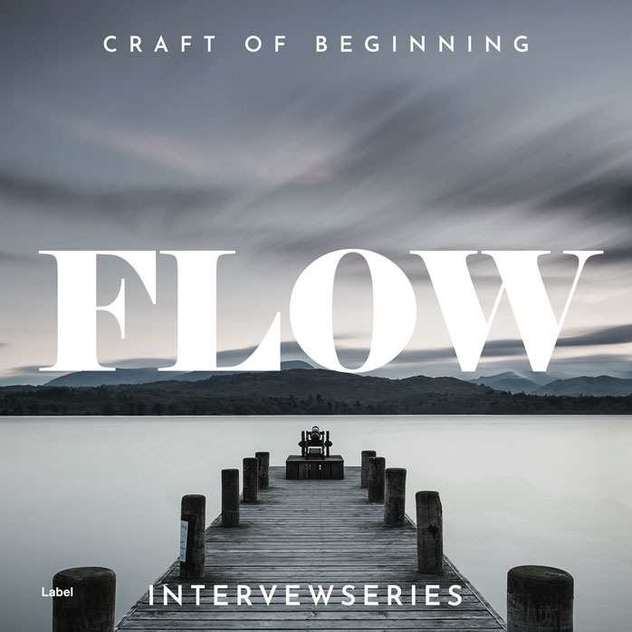 Premade Book Cover Oslo Gray