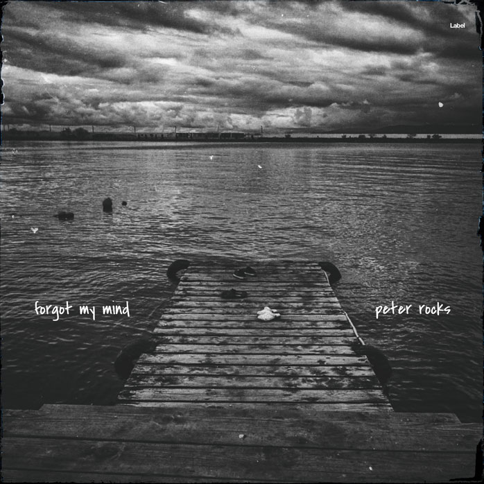 Premade Book Cover Tundora