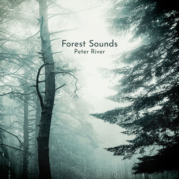 Premade Book Cover Powder Ash