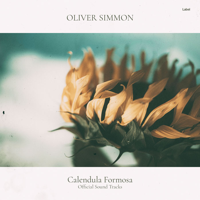 Premade Book Cover Kelp