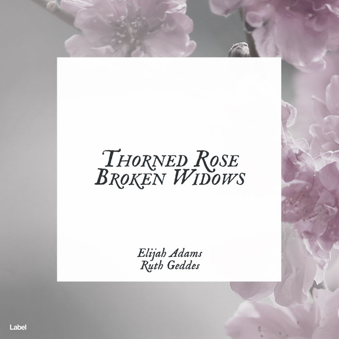 Premade Book Cover Shady Lady