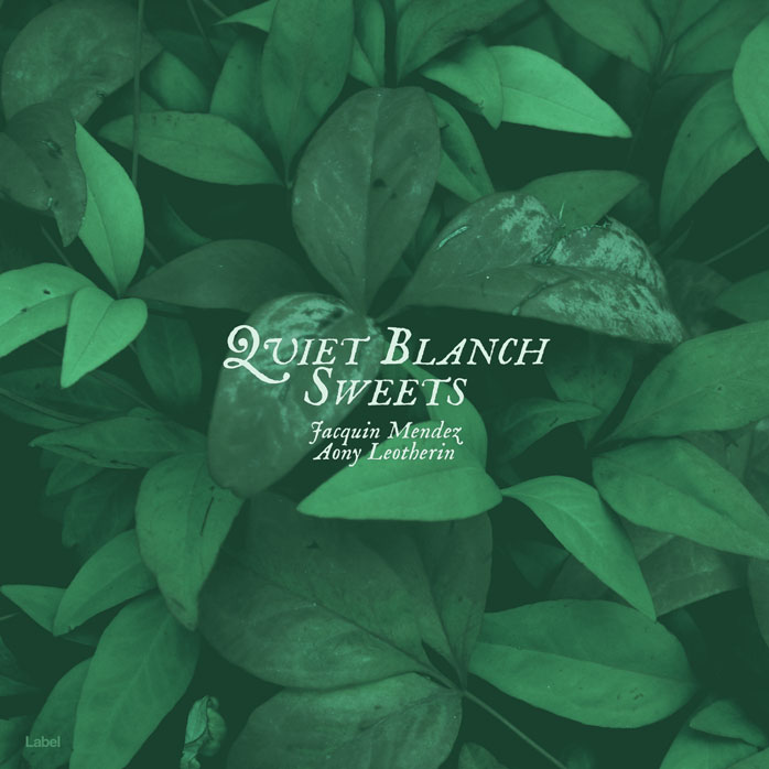Premade Book Cover Plantation