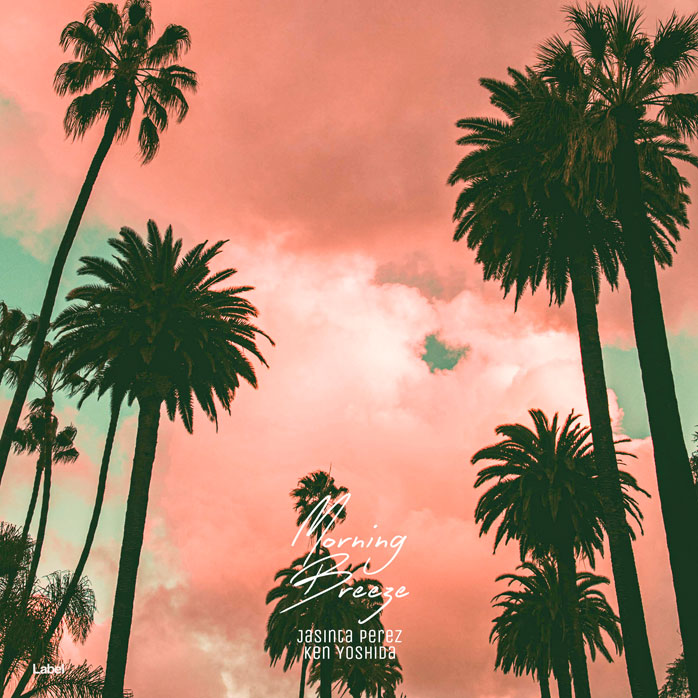 Premade Book Cover Tonys Pink
