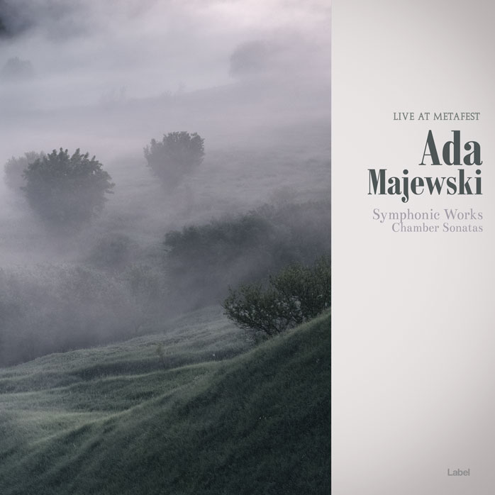 Premade Book Cover Pale Slate
