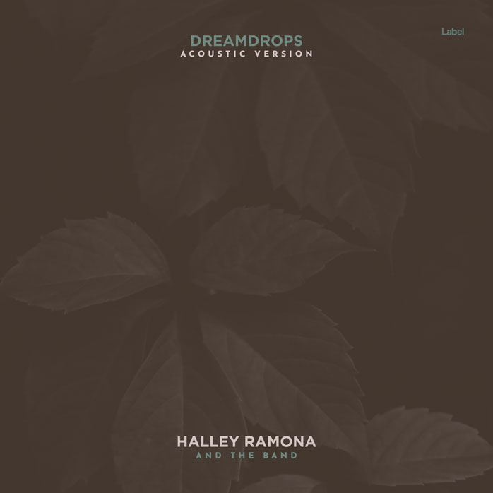 Premade Book Cover Taupe