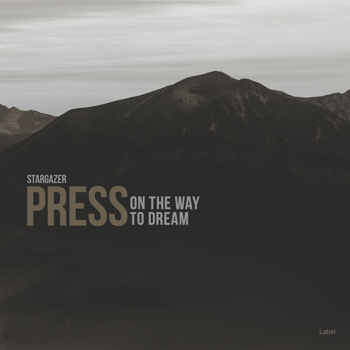 Premade Book Cover Gray Nickel