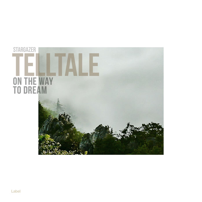 Premade Book Cover Pumice