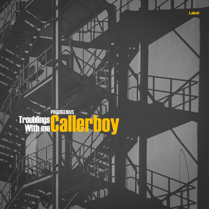 Premade Book Cover Tundora