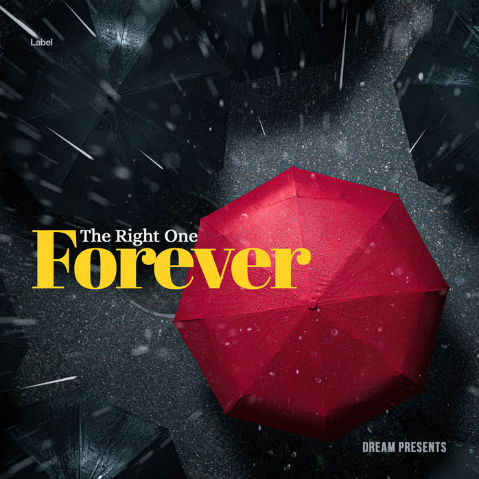 Premade Book Cover Shark