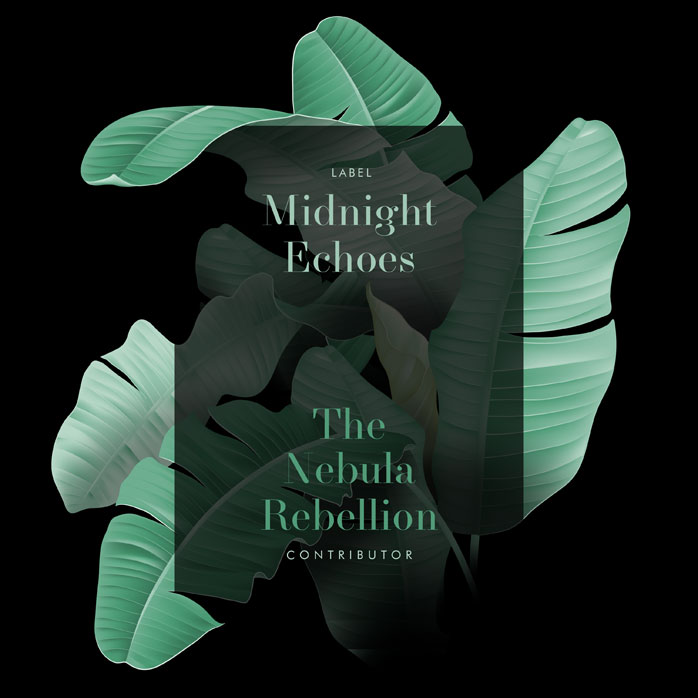 Premade Book Cover Acapulco