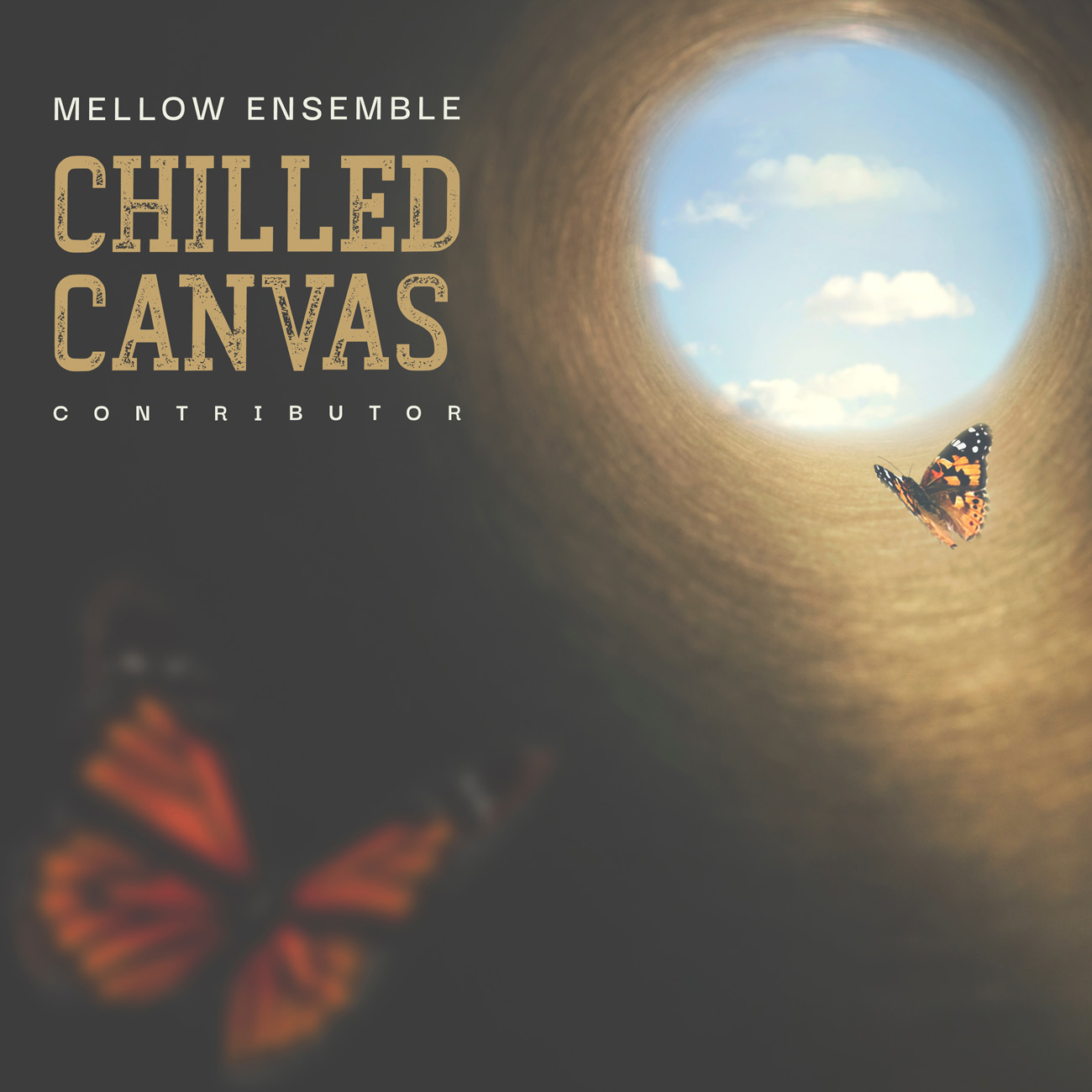 Premade Book Cover Armadillo