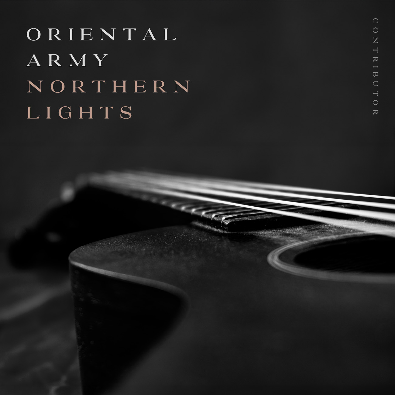 Premade Book Cover Cod Gray