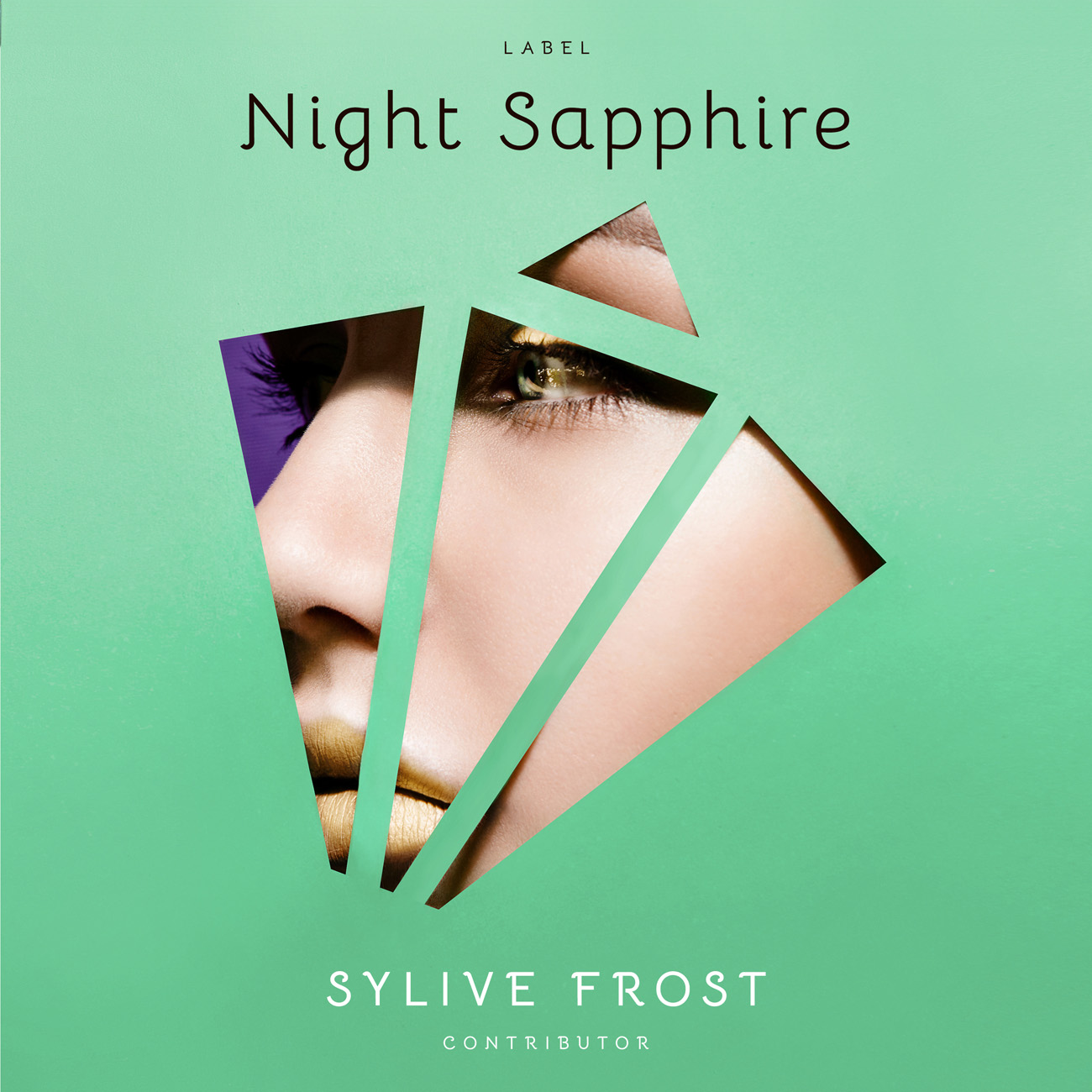 Premade Book Cover Vista Blue