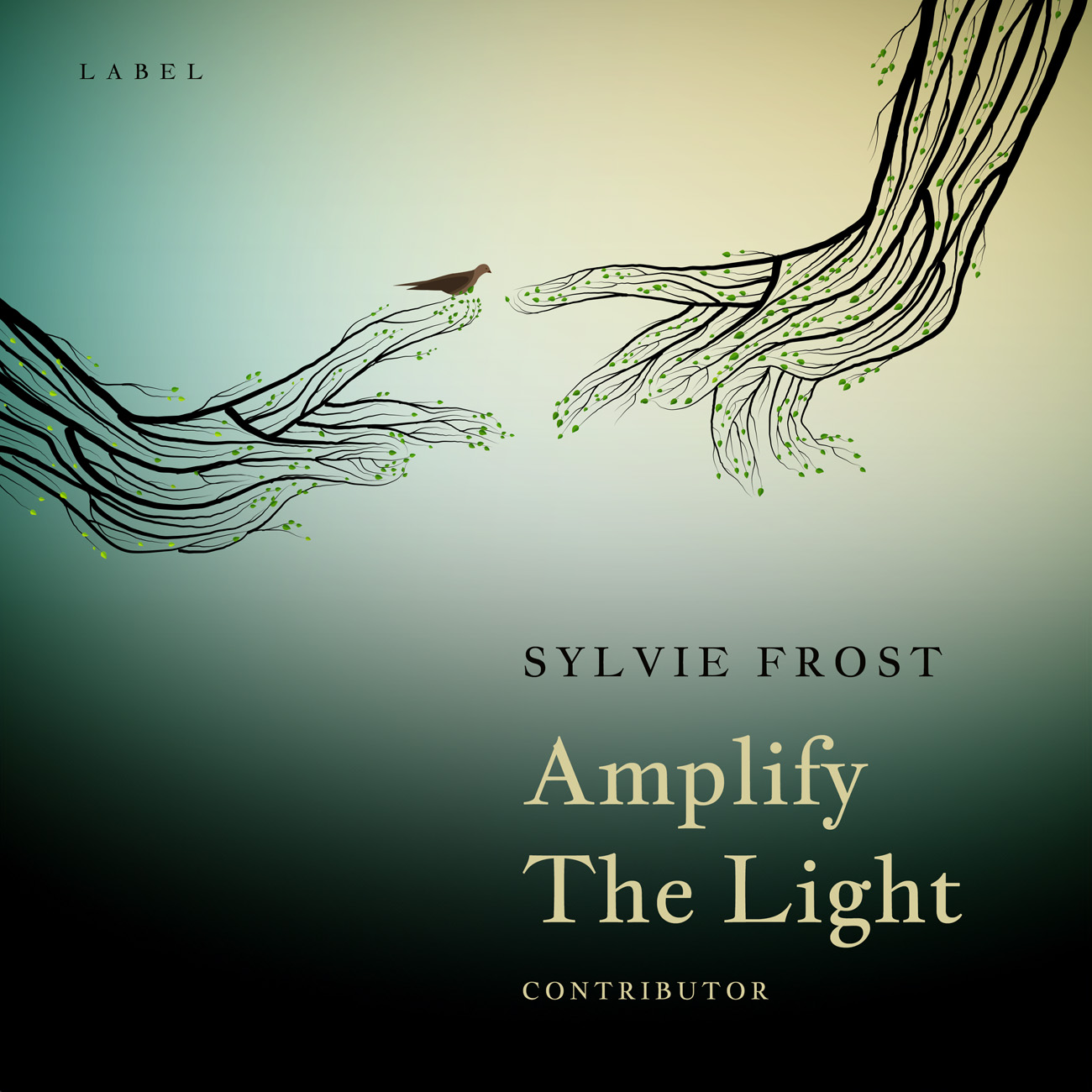 Premade Book Cover Green Mist