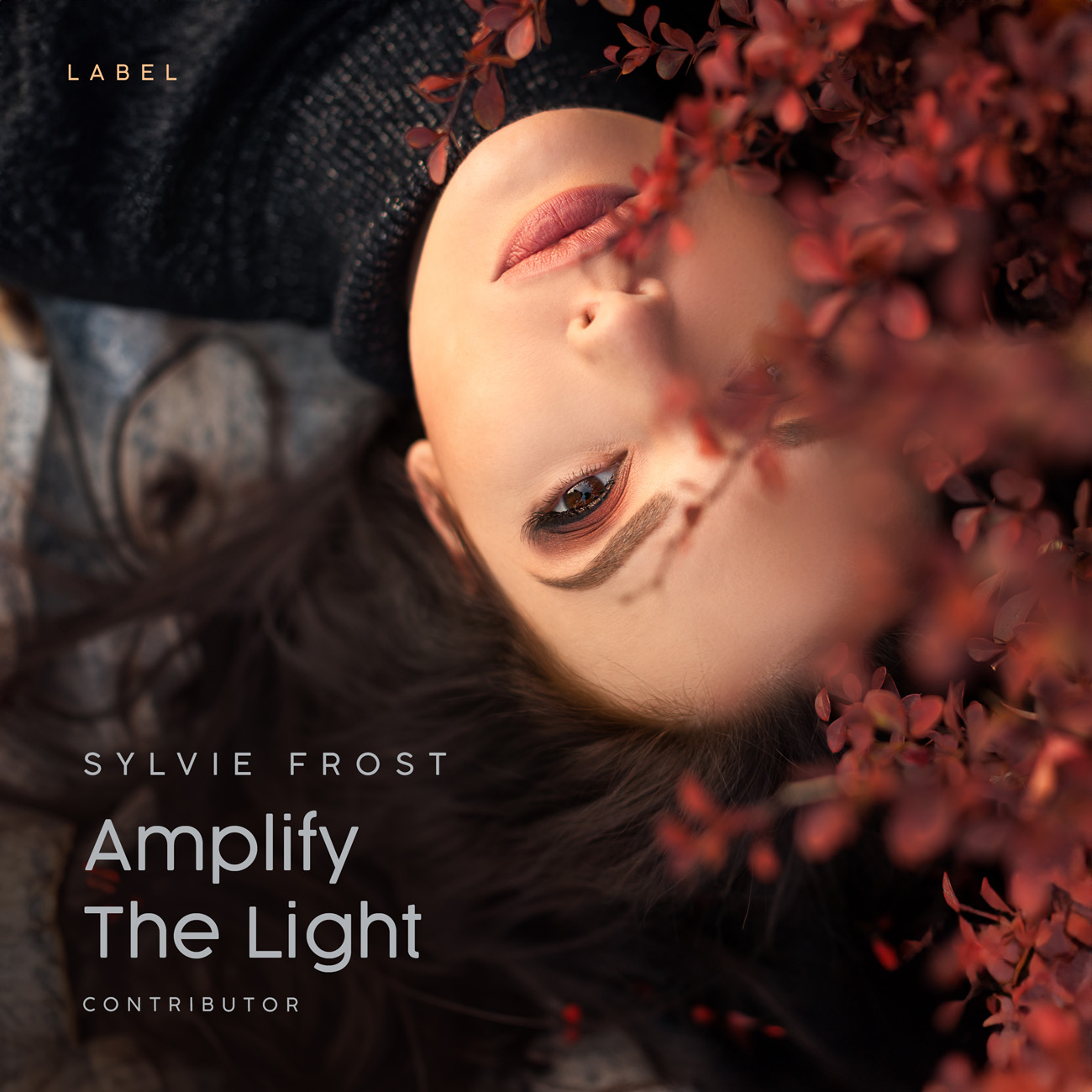 Premade Book Cover Cocoa Brown